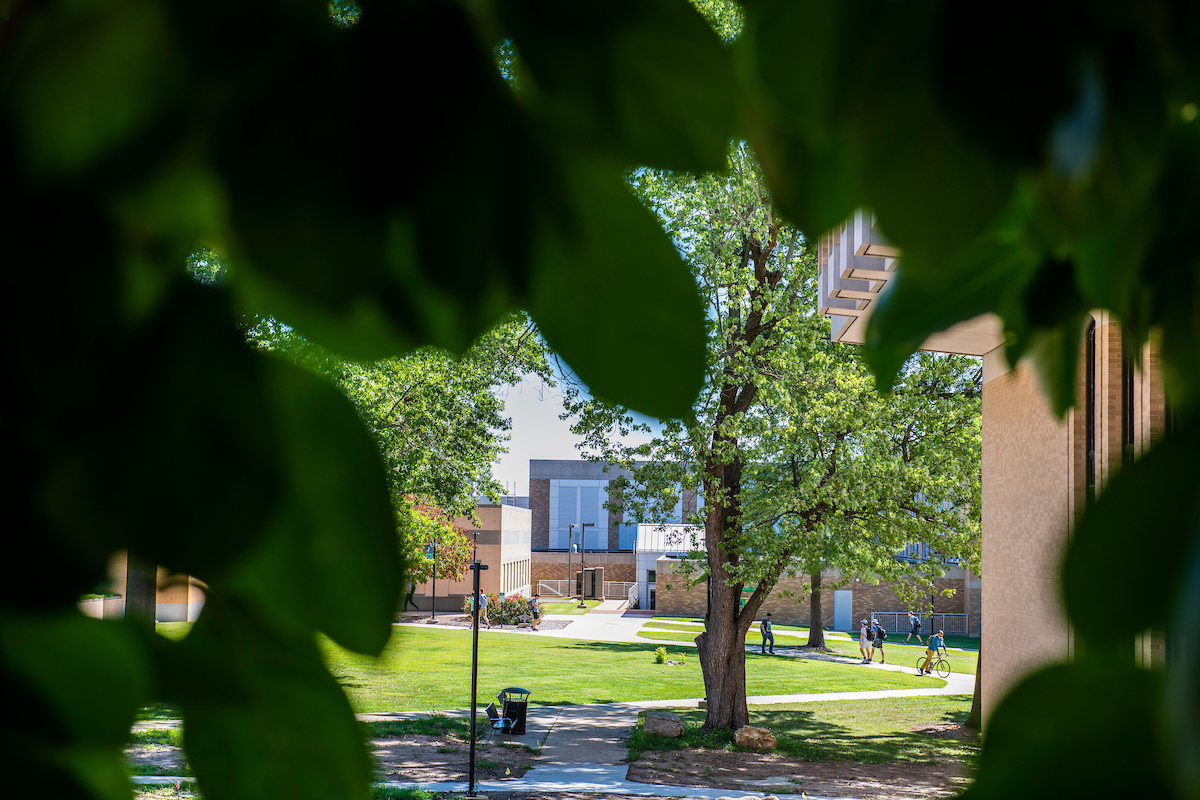 a scenic view of campus